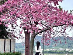 -风云岭森林公园