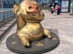-星光大道