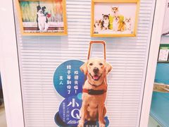 -瑞派·关忠动物医院(国瑞店)