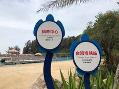 -广东惠东海龟国家级自然保护区