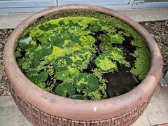 -厦门园林博览苑
