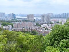 -福道