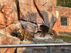 -无锡动物园·太湖欢乐园