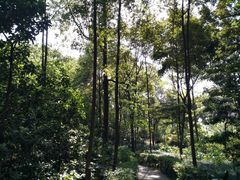 -成都市活水公园