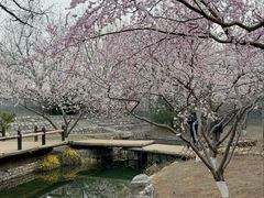 -春风习习