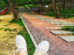 -阳台山自然风景区