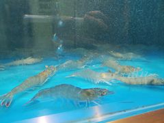 -邹开喜·炭炉鸡煲·海鲜火锅(虹口足球场店)