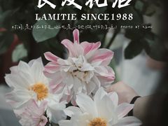 -良友花店(天目山路店)