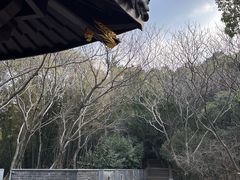 -峙山公园