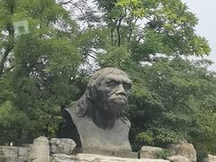 -北京周口店北京人遗址博物馆