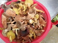 -文婷阁土菜馆