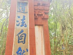 -老君山