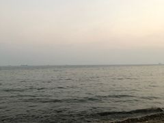 -贝壳沙滩