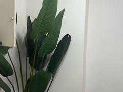 -红像馆连锁精致证件照职场照(中关村店)