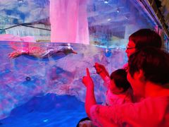 -芜湖新华联大白鲸海洋公园