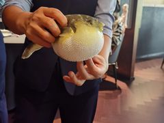 -肆月河豚·淮扬菜·湘菜(华天店)