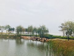 -青岛海泉湾度假区温泉