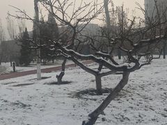 -迎泽公园