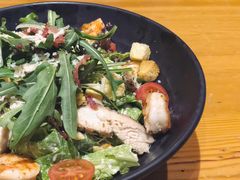 -LENBACH兰巴赫西餐啤酒坊(大连东港店)