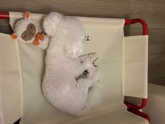 -联合动物医院(光谷诊疗中心)