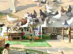 -乌村