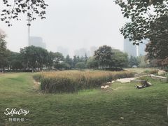 -后襄河公园