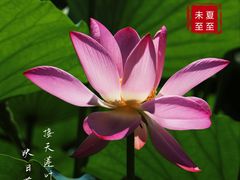 -陶然亭公园