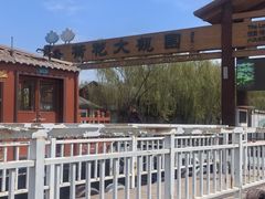 -白洋淀景区