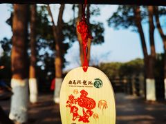 -白马涧龙池景区