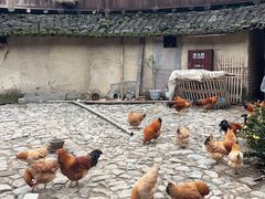 -初溪土楼群