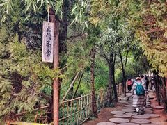 -洛阳白马寺