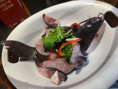 -老凯俚酸汤鱼(东山店)