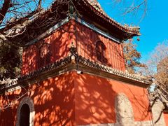 -大觉寺-停车场
