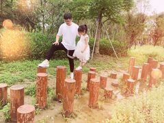 -昆山城市生态森林公园