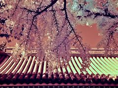 -红螺寺