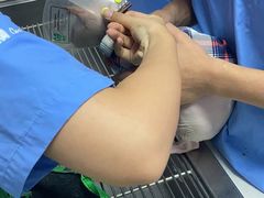 -宠颐生动物医院·心脏科·保险定点(锦阳分院)