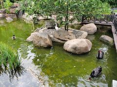 -西双版纳洲际度假酒店-海鲜傣味烧烤·侬香全日制餐厅