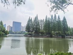 -黄兴公园