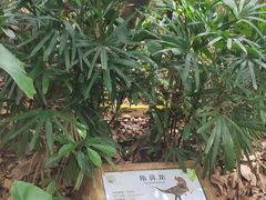 -海南热带野生动植物园