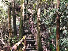 -缙云山景区