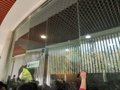 -五龙山野生动物王国