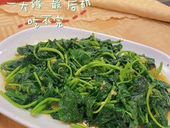 -巫记鸡饭店