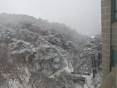 -黄山白云宾馆
