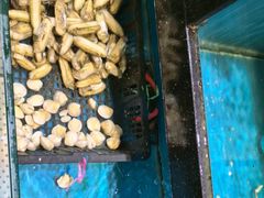 -聚鑫阁江浙菜·非遗传承技艺(青村帝华园店)