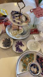 -海豚湾高端月子会所(黄浦店)