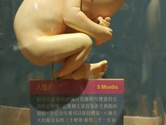 -香港科学馆
