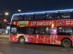 -BUS TOUR观光巴士
