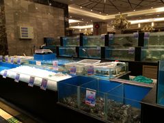 水产区-大铁勺新津菜(东丽阳光新业广场店)