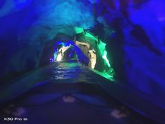 -泰安地下龙宫景区