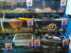 -小船渔村•大连菜•大连焖鱼(明泽街店)